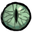 Moon Serpent Lens.png